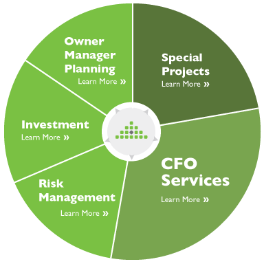 InHouseCFO services pie